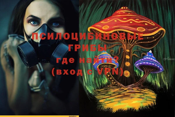 мдма Бородино