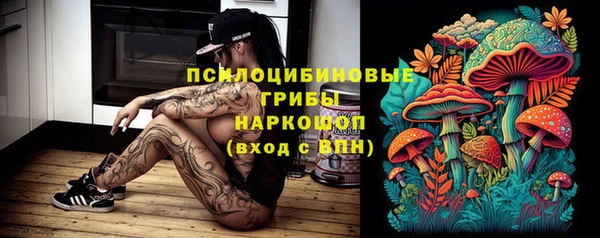 МДПВ Бронницы