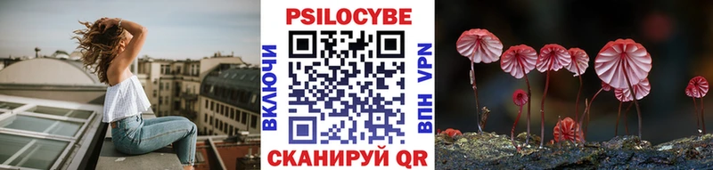 KRAKEN ссылки  Вышний Волочёк  Псилоцибиновые грибы мухоморы 